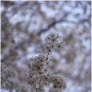 별내4로 이미지