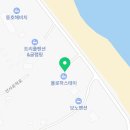 욜로하 스테이 이미지