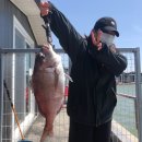 선재낚시공원 별관 | [인천 선재도] 선재낚시공원 n번째 방문 후기 / 우중낚시 / 입어료 방갈로 방류시간 준비물