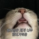 GS25성석누리점 | [일상] 클릭한 김에 내 일상이나 보고 가시지