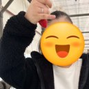 송영농장 이미지