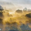 비밀정원12 이미지