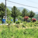 개미들마을 이미지