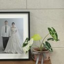 하트스튜디오 - 여수시 학동2길 34 | [Wedding] 인물중심 하트유스튜디오 보정본 후기