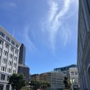 웰링턴뷰 | 뉴질랜드 북섬 뚜벅이 여행 후기 7편 수도 웰링턴