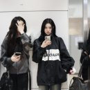 유하파