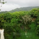 할리우드 이미지