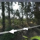 상예동-10 이미지