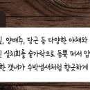장고항수산 이미지