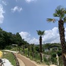 지지파이브