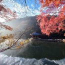 시티원부동산중개 이미지