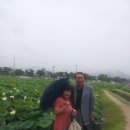 행복한 샘 이미지