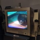 이노티안경 전주중앙점 네이버블로그