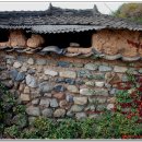 삼광자전거 이미지