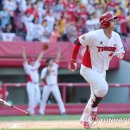 홈런세탁 이미지