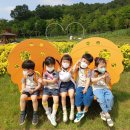 강동초병설유치원 이미지