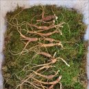 지바고한의원 이미지