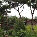 칠갑산자연휴양림 이미지