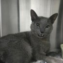 비엔동물전문의료센터 이미지