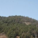 돈대지 - 평택시 | 돈대지