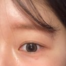 스타비치안경콘택트 | [뉴트럴무드 원데이] 포근안경 위드렌즈 하남미사점 추천