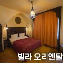 독일 프랑크푸르트 중앙역 숙소 추천 호텔 빌라 오리엔탈 후기 위치 예약 객실 정보