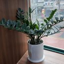 구리전통시장 이미지