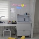 체리몽애견풀빌라 이미지