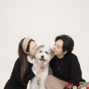 포마이티니