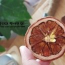 팡이네일 이미지