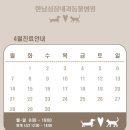 한남심장내과동물병원 이미지