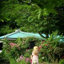 동광리-13 이미지