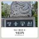 쌍용극동아파트 | 쌍용동 산책하기 좋은 곳 | 쌍용공원 힐링 산책 후기