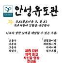 안성유도관 이미지