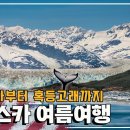 하얀 대자연 속 야생동물 세상, 여름 '알래스카'1⃣ Trip to Alaska (KBS_20170729) 이미지
