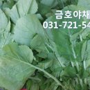 신광청과