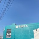 몽드펫 이미지