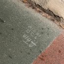 오림2길 이미지