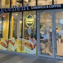 에그 셀런트 이미지