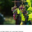 새날목장 이미지