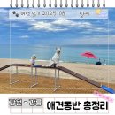 시즌아이PC방 강릉교동점 | 강아지 키운다면 도움 될 강릉 애견 동반 여행 숙소부터 식당까지 총정리
