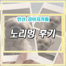 노리멍 | [안산/한대앞/강아지카페]강아지 실내 카페 노리멍 내돈내산 후기