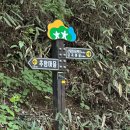 장성종합센터 | [고창, 장성] 축령산