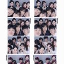 노세노세 이미지