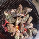 행복한 감포 민박 이미지