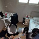 모인제 네이버블로그