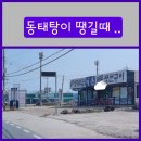 우리동네동태탕 이미지