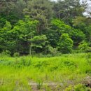 방동농장 이미지