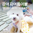 강아지블랭킷, 강아지여름이불 찾는다면 애플멜로우 솔직후기