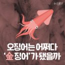 빨간화장품 | [복순도가] 손막걸리, 빨간쌀 막걸리 후기